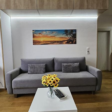 Apartamento Porodicno-Poslovni Udoban Stan Belgrado Exterior foto