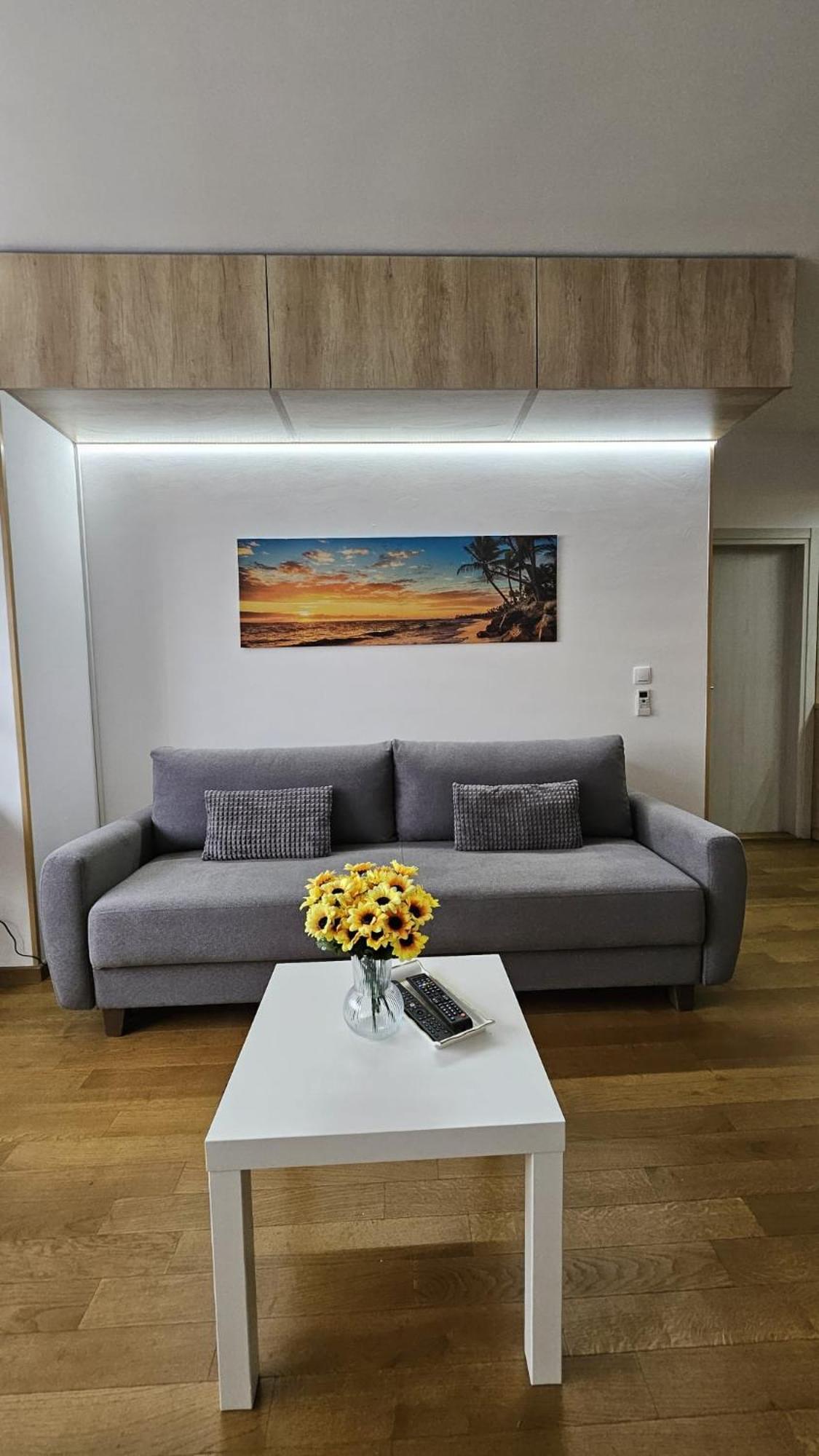 Apartamento Porodicno-Poslovni Udoban Stan Belgrado Exterior foto